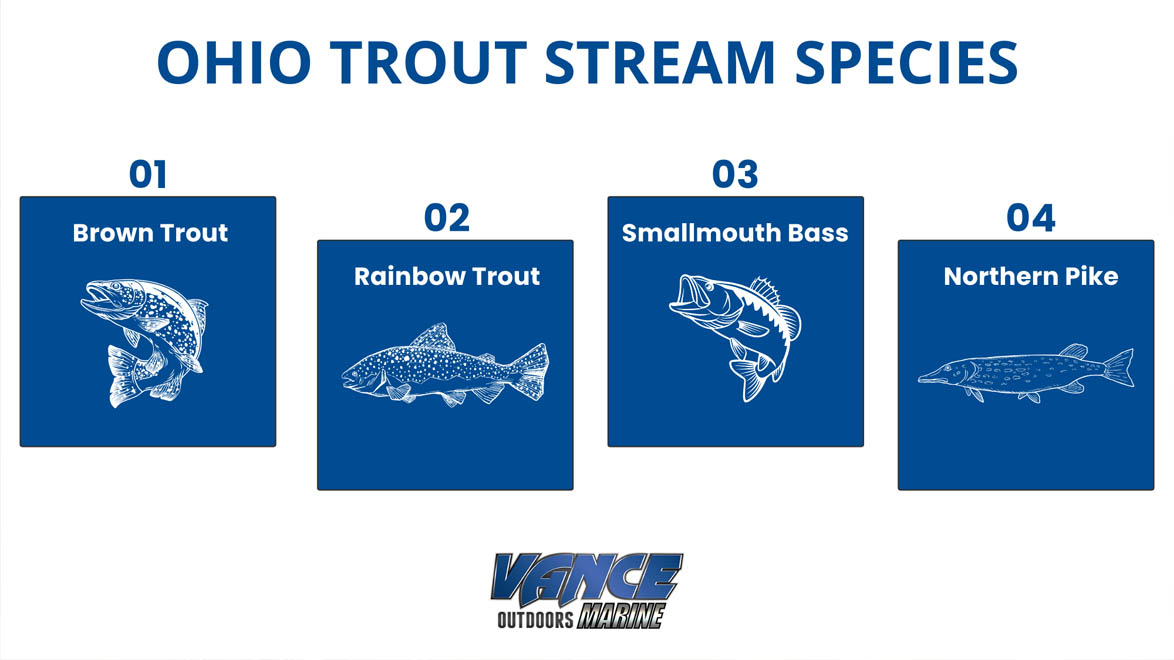 Ohio trout stream species