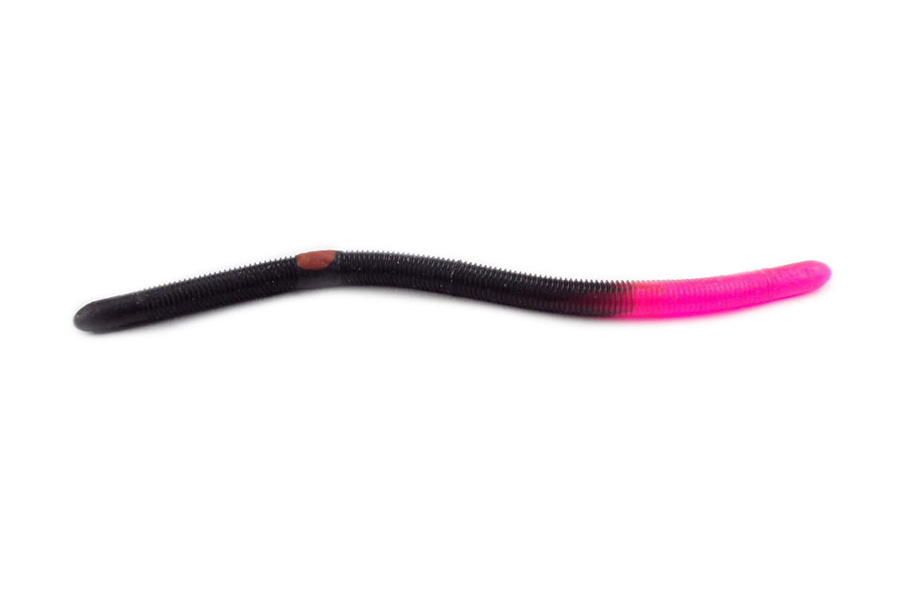 Kelly S Firetail Worm (Black)
