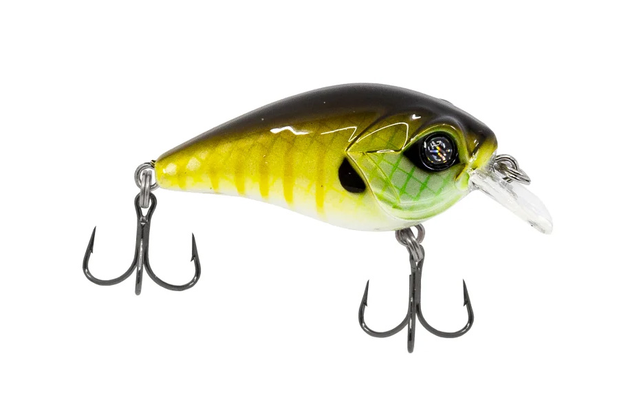 Catch Co Googan Squad Banger Mini and Micro