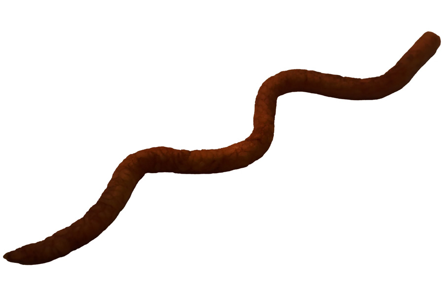 Uncle Josh Pork Night Crawler 