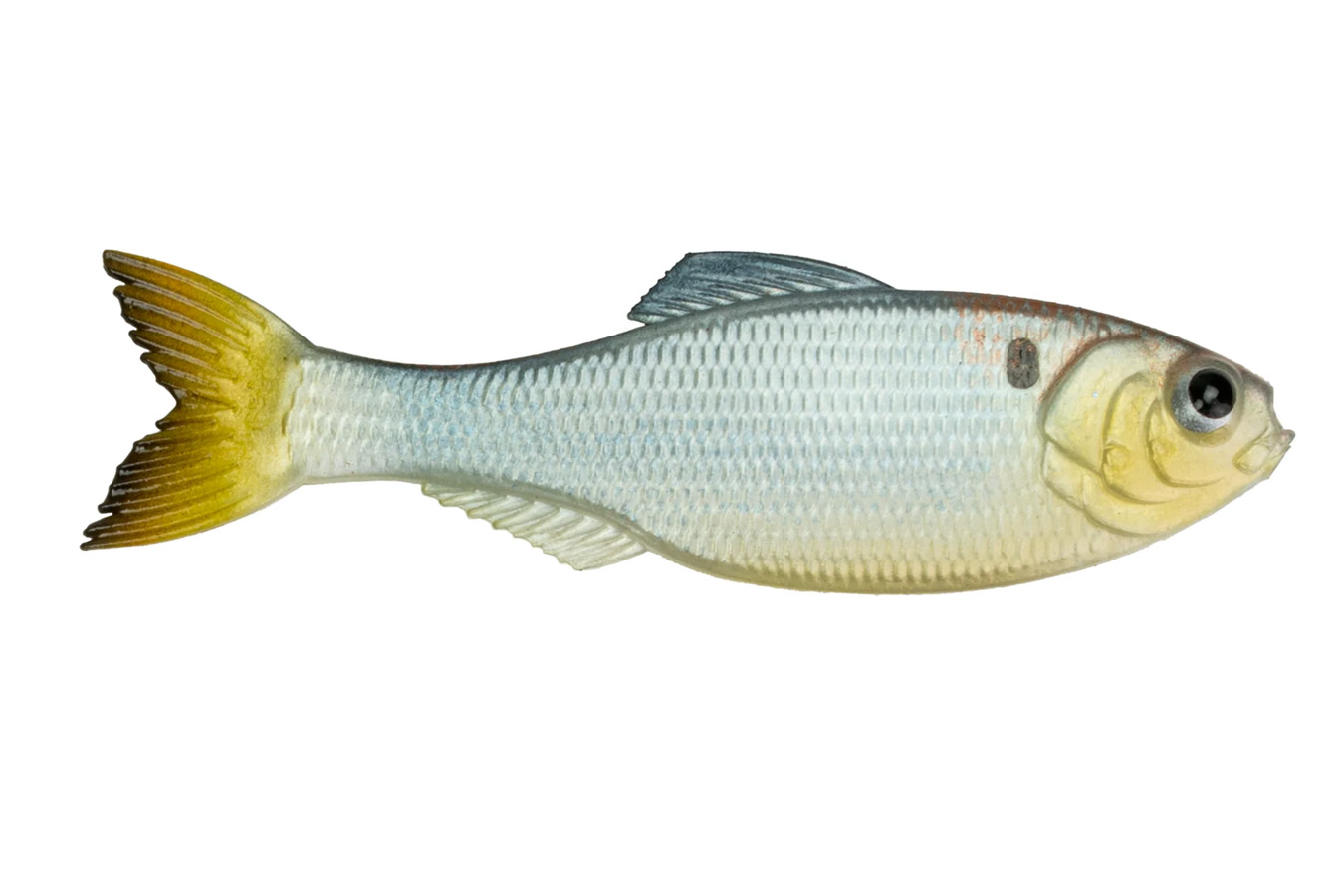 6th Sense Panorama Swimbait 5.0