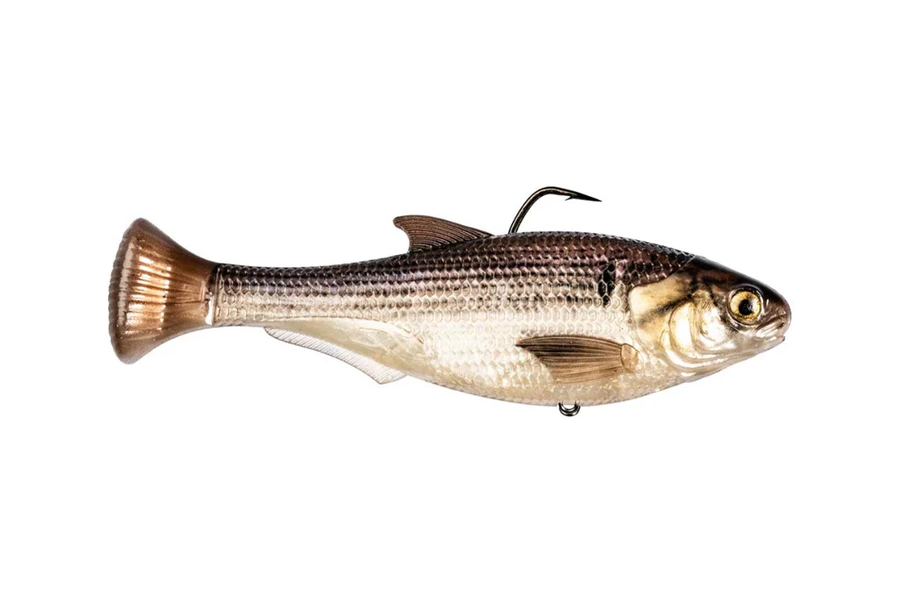 Z Man Fishing Products Shadtron Line Through Fast Sinking Swimbait - 4.5 Inch