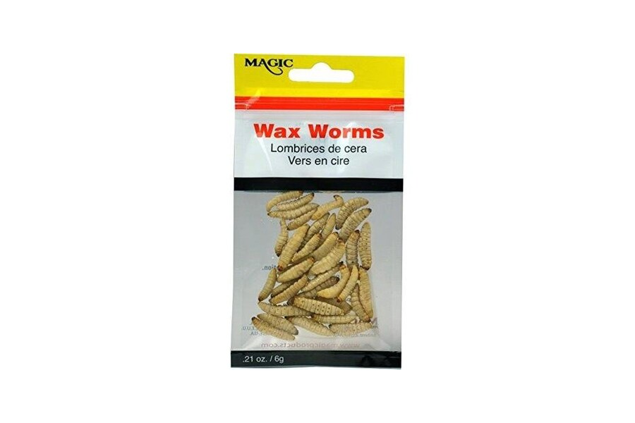 Magic Bait Preserved Wax Worms, 21 Oz Pouch, Natural