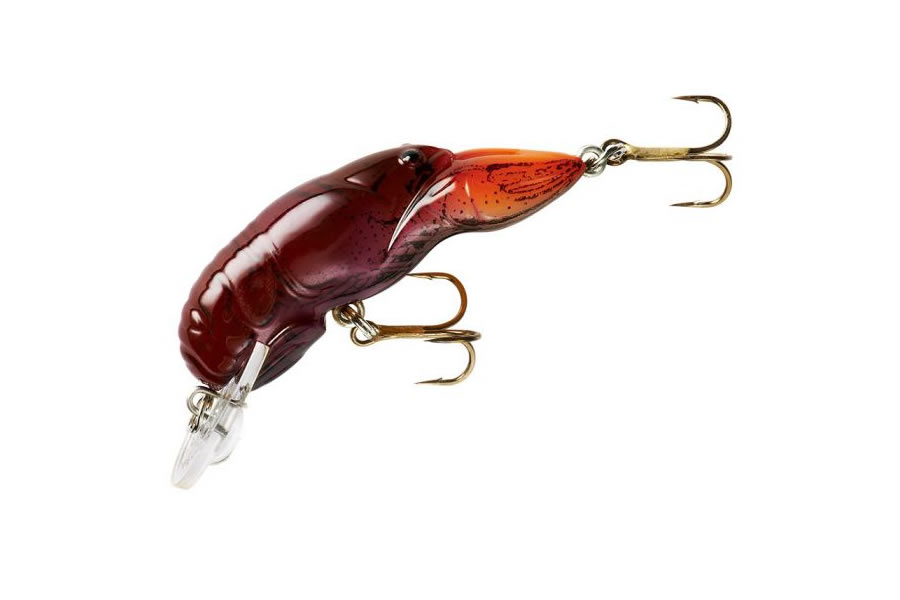 Rebel Wee Crawfish Flaming Junebug