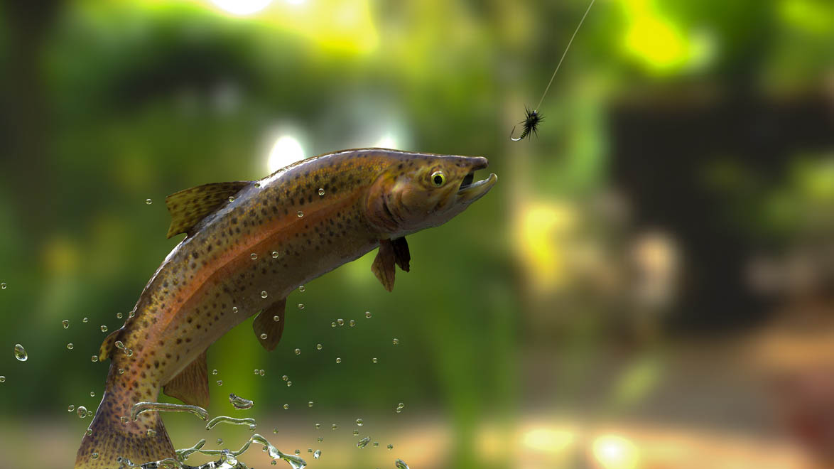 Trout jumping out of Water